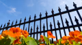 Lightweight TF11 spike-top railings in gloss black